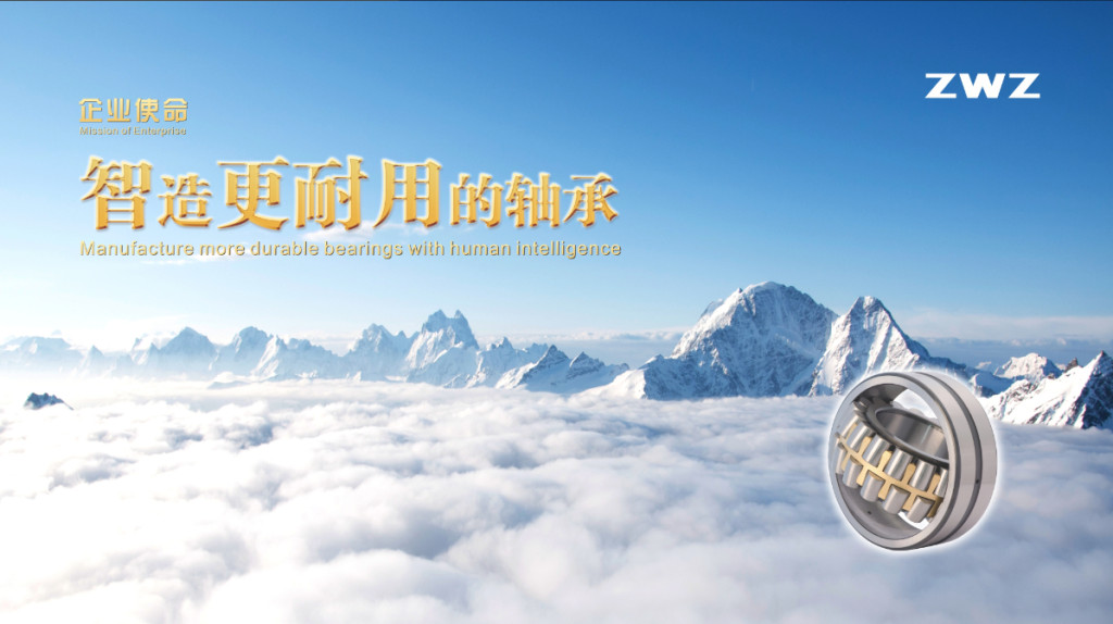 ZWZ bearing