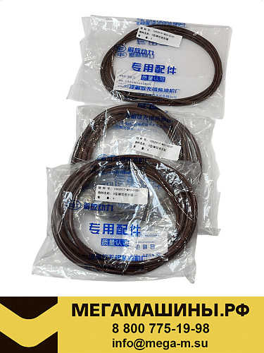 Кольца уплотнительные гильзы цилиндра FAW DM2,DM3 Е5 1002017/19-M50-0000 (к-т на ДВС,18 шт) Оригинал