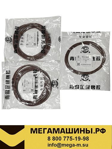 Кольцо уплотнительное гильзы цилиндра FAW DM2,DM3 E5 1002017-M50-0000+1002019-M50-00 (к-т ДВС 18шт)